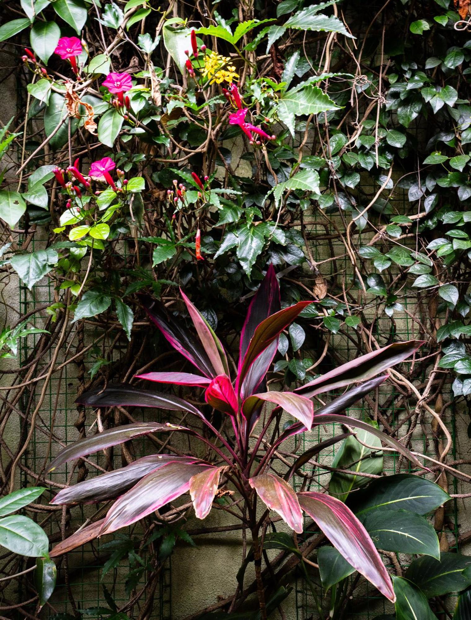 Kandy Inn Madugalle'S Family Guest House Exterior photo